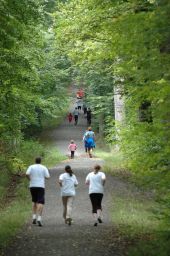 20080914_D70_Buecherlauf_2202.JPG