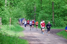 Volkslauf_2010_E_Start_10km_(19).JPG