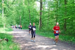 Volkslauf_2010_E_Start_10km_(30).JPG