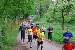 Volkslauf_2010_D_Start_16km_(25).JPG