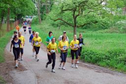 Volkslauf_2010_D_Start_16km_(31).JPG